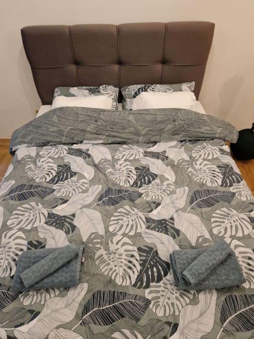 Warm House Full Of Green Ambient,Joy And Comfort Zagreb Ngoại thất bức ảnh